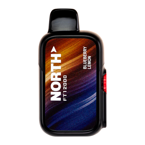 North FT12000 - 12,000 Puffs