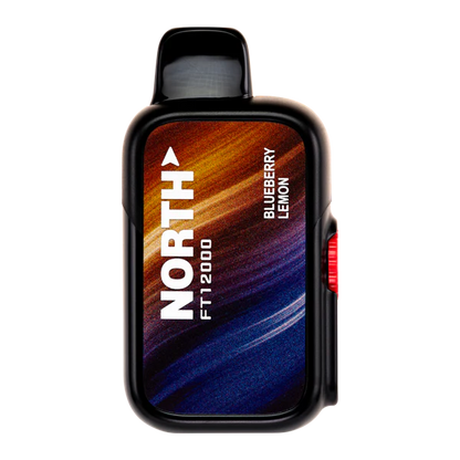 North FT12000 - 12,000 Puffs