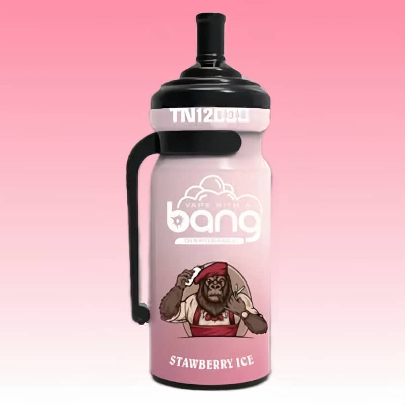 Bang TN12000 - 12,000 Puffs