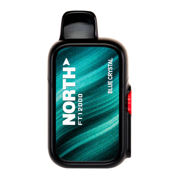 North FT12000 - 12,000 Puffs